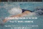 11568 photo